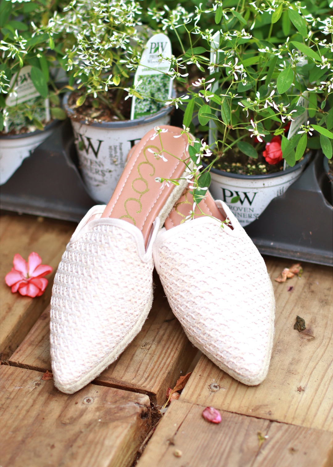 CLEARANCE FINAL SALE Annabelle Rafia Mule - Cream