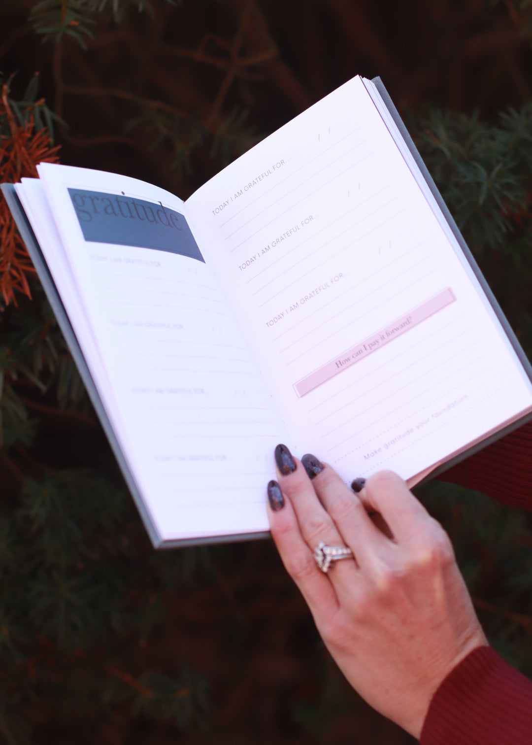 The Gratitude Journal for Women