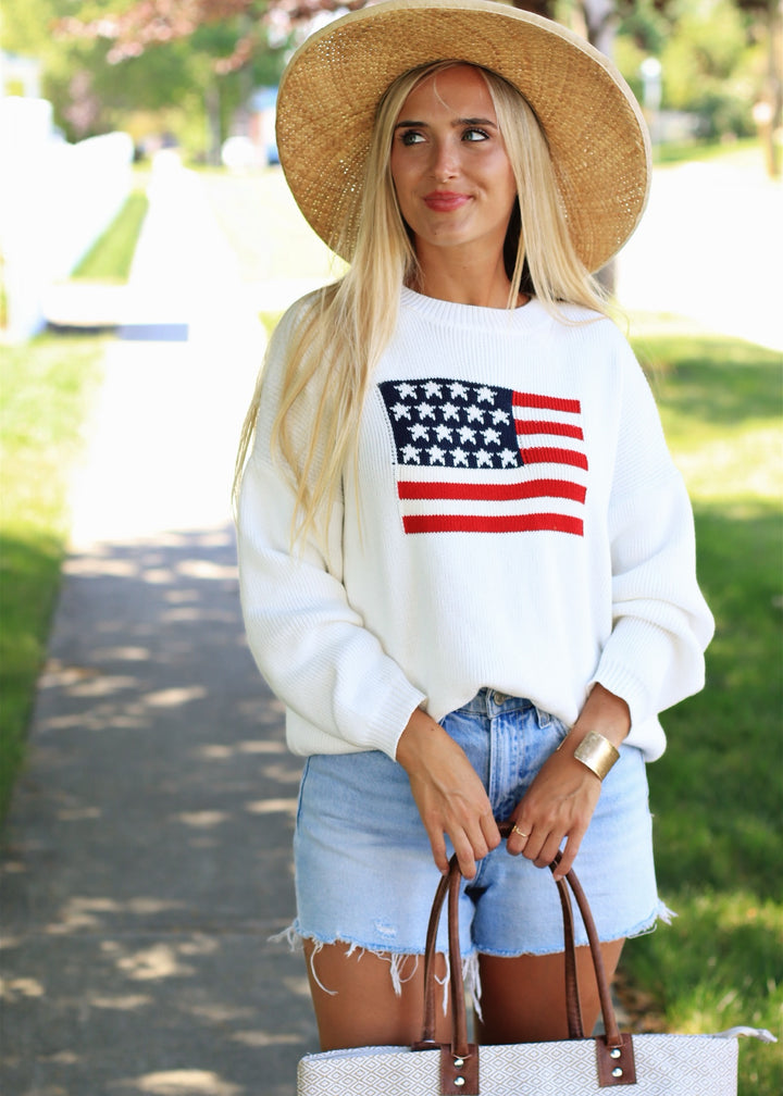 CLEARANCE FINAL SALE USA Flag Sweater