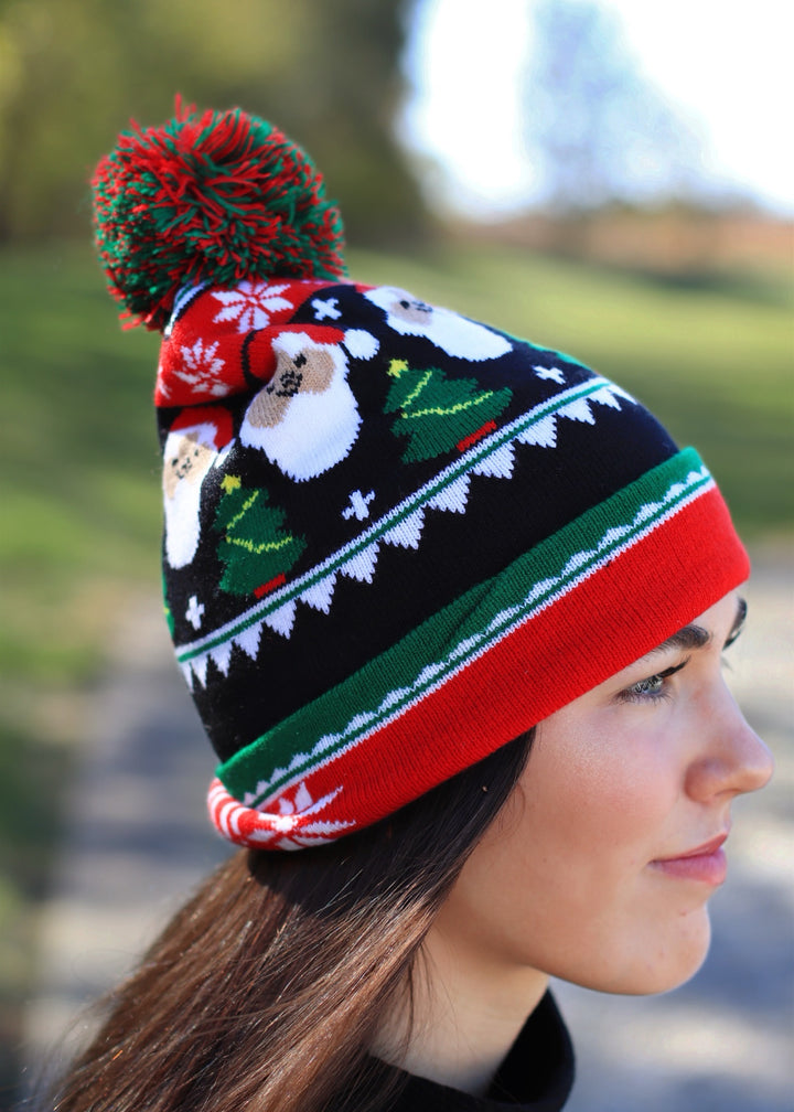 Santa Claus Christmas Beanie