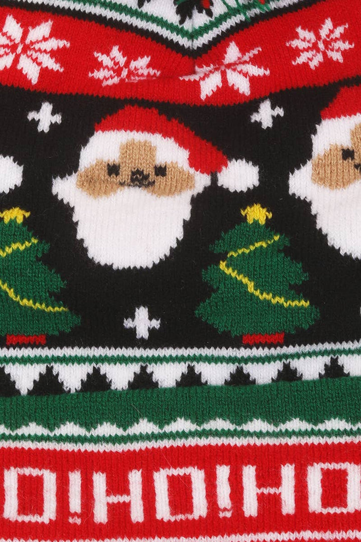 Santa Claus Christmas Beanie